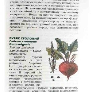 Лікарські овочеві рослини