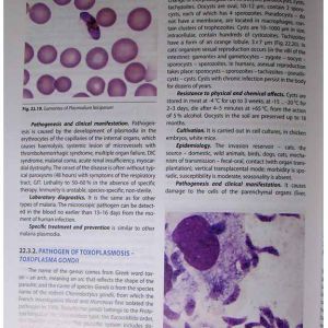 Medical microbiology, virology and immunology = Медична мікробіологія, вірусологія та імунологія