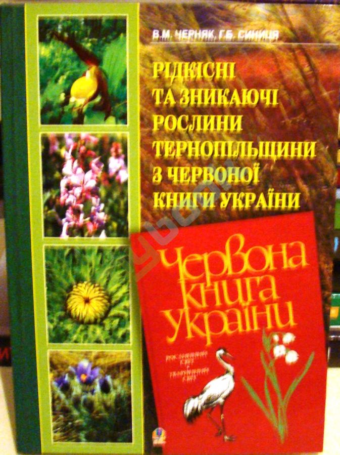 купить книгу Рідкісні та зникаючі рослини Тернопільщини з Червоної книги України.