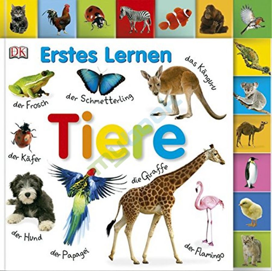 купить книгу Erstes Lernen: Tiere