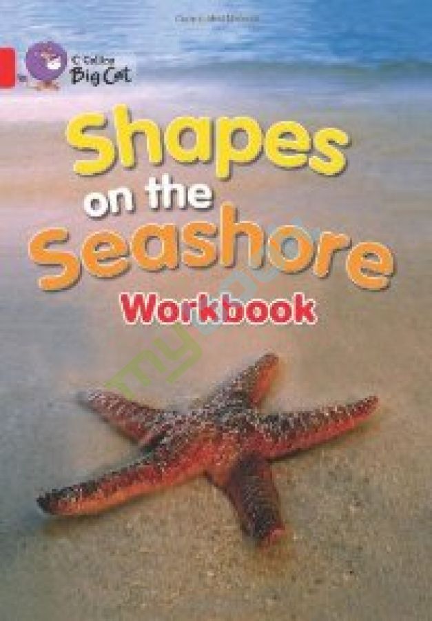 купить книгу Big Cat 2A Shapes on the Seashore. Workbook.