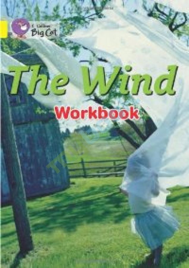 придбати книгу Big Cat 3 The Wind. Workbook.