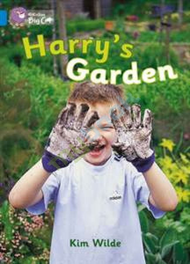 купить книгу Big Cat 4 Harry's Garden.