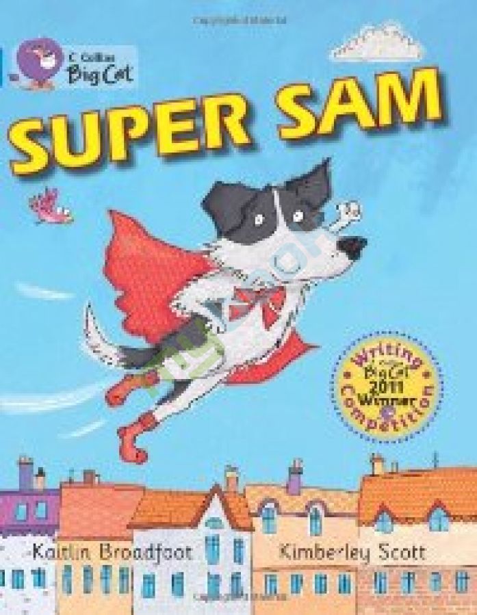 придбати книгу Big Cat 4 Super Sam.