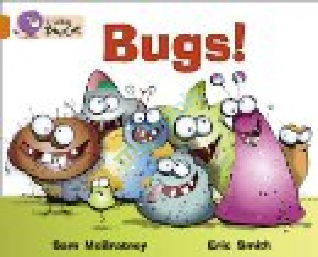 придбати книгу Big Cat 6 Bugs!