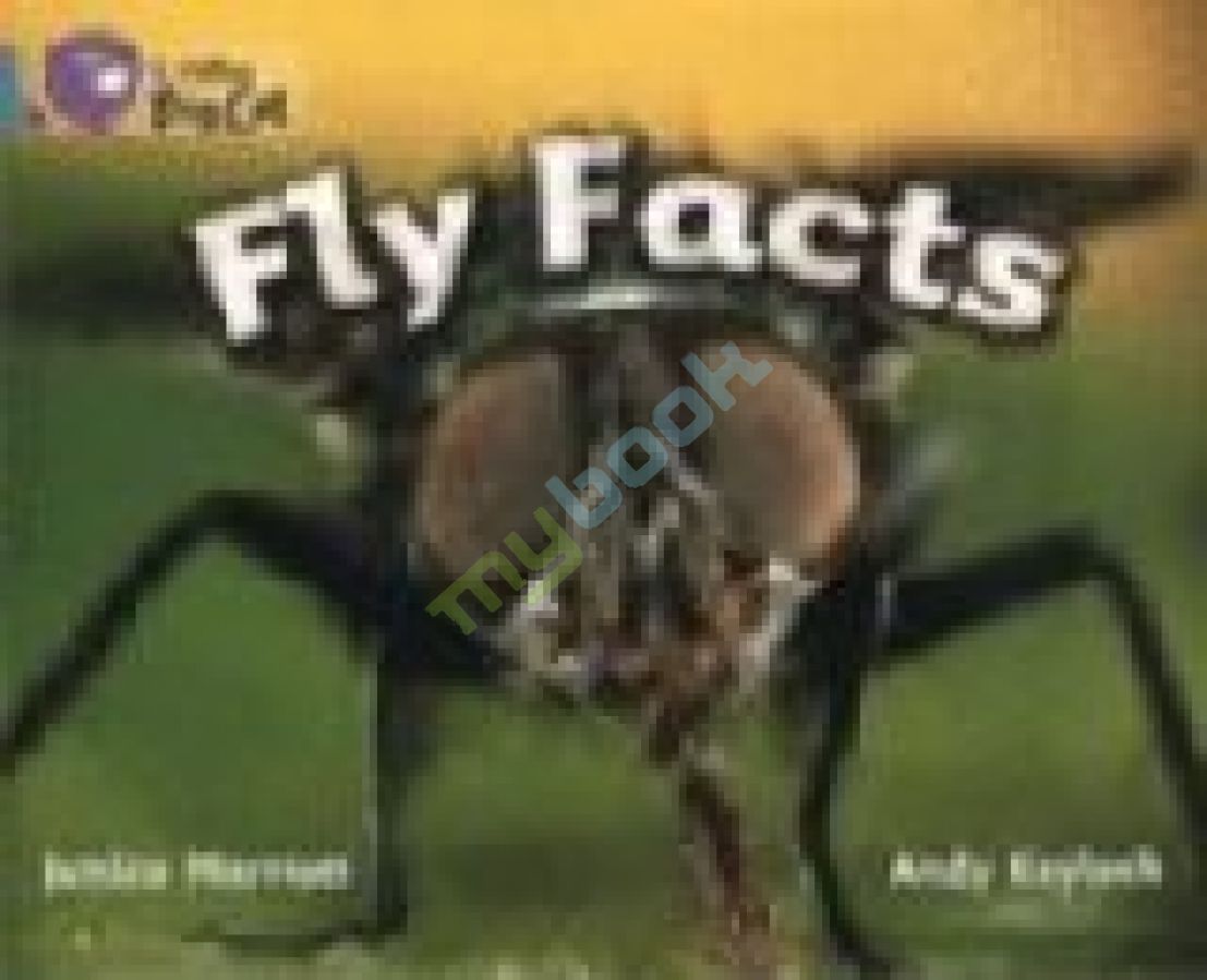 придбати книгу Big Cat 7 Fly Facts.