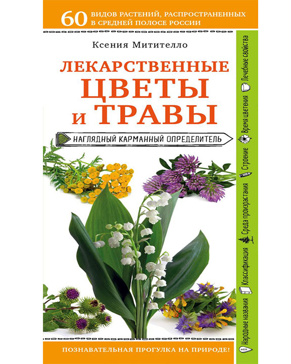 придбати книгу Лекарственные цветы и травы. Наглядный карманный определитель