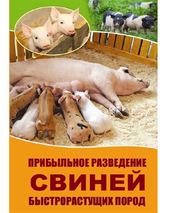 придбати книгу Прибыльное разведение свиней быстрорастущих пород