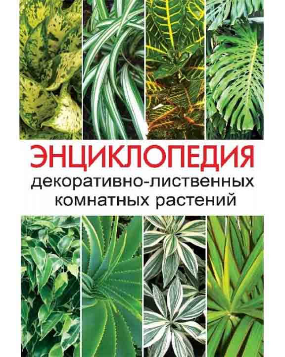 купить книгу Энциклопедия декоративно-лиственных комнатных растений
