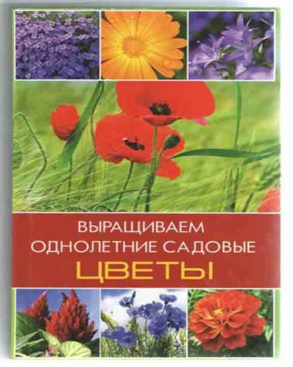 купить книгу Выращиваем однолетние садовые цветы