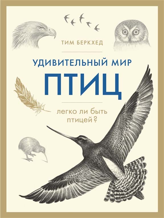 купить книгу Удивительный мир птиц: Легко ли быть птицей?