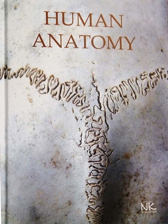 придбати книгу Human Anatomy = Анатомія людини: textbook