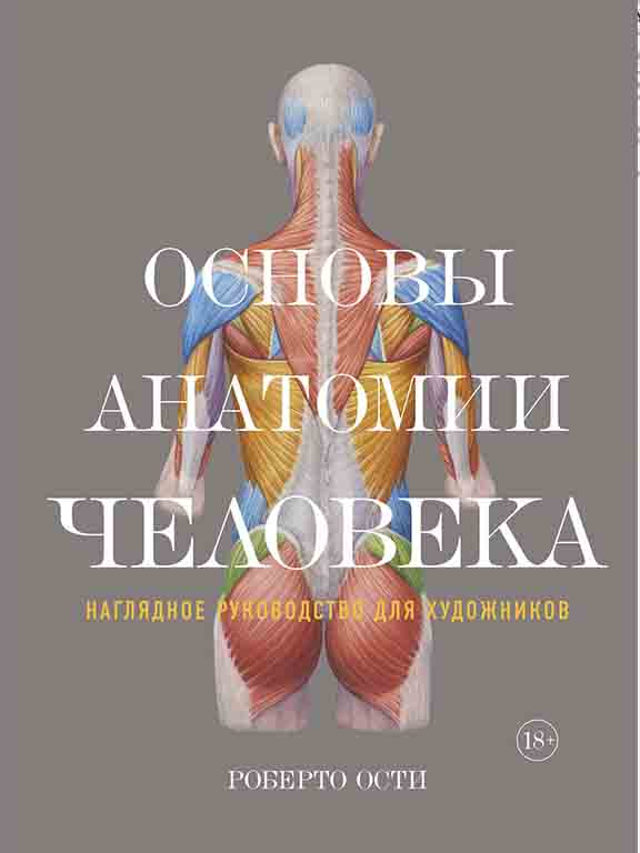 купить книгу Основы анатомии человека. Наглядное руководство для художников