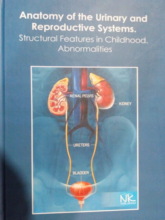 купить книгу Anatomy of the Urinary and Reproductive Systems. Structural Features in Childhood. Abnormalities = Анатомія сечової та статевої систем