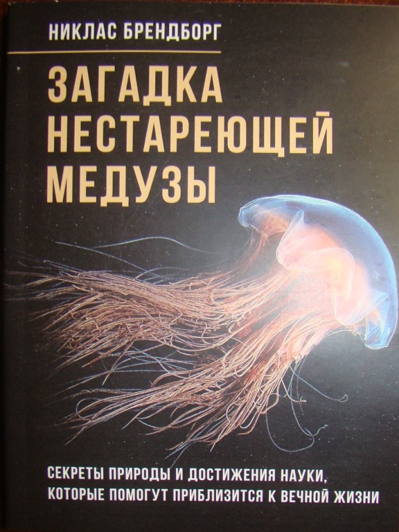придбати книгу Загадка нестареющей медузы. Секреты природы и достижения науки, которые помогут приблизиться к вечной жизни