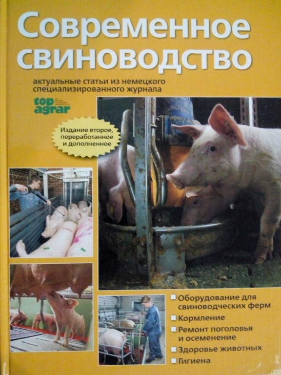придбати книгу Современное свиноводство