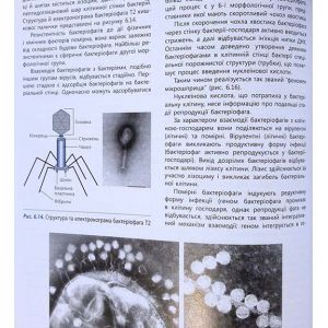 Мікробіологія, вірусологія та імунологія
