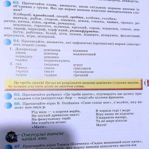 Українська мова 10 клас (рівень стандарту)