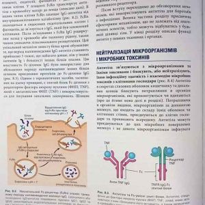 Основи імунології: функції та розлади імунної системи