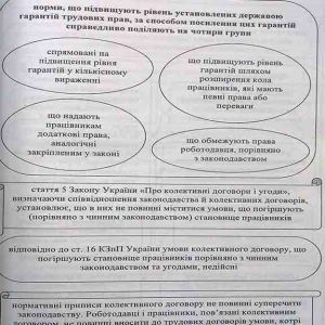 Трудове право України в схемах і таблицях