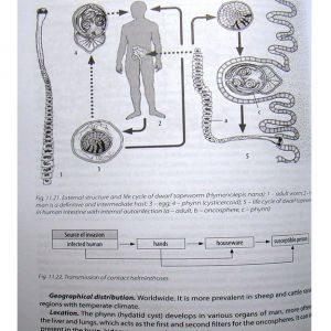 Medical Biology = Медична біологія