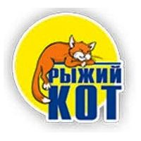 Рыжий кот