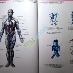 Атлас анатомії людини. У 2 томах.