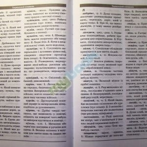 Комплексний словник-довідник з української мови для учнів початкових класів