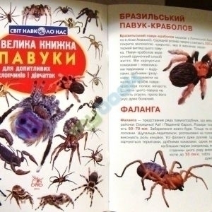 Велика книжка. Павуки. Для допитливих хлопчиків і дівчаток.